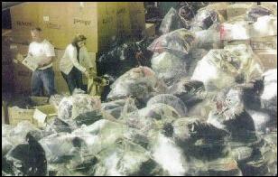 Photo of bags of parkas.